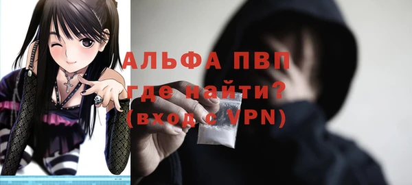стаф Аркадак