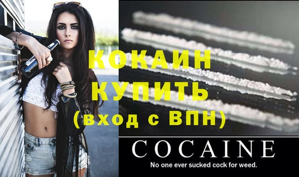 стаф Аркадак