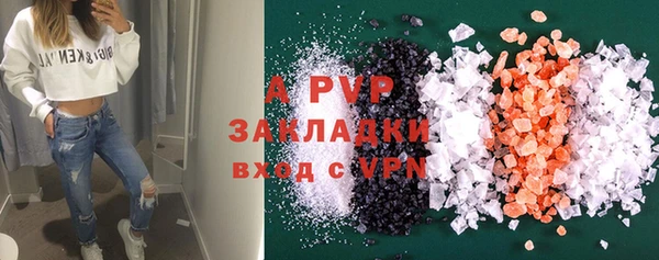 стаф Аркадак