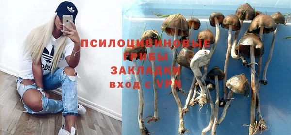 бутират Медвежьегорск
