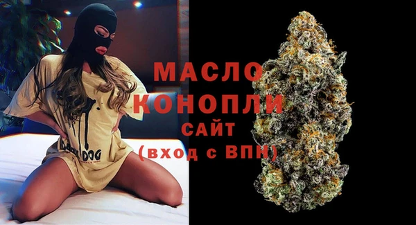 стаф Аркадак