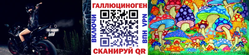 мориарти состав  Сертолово  Псилоцибиновые грибы Cubensis 